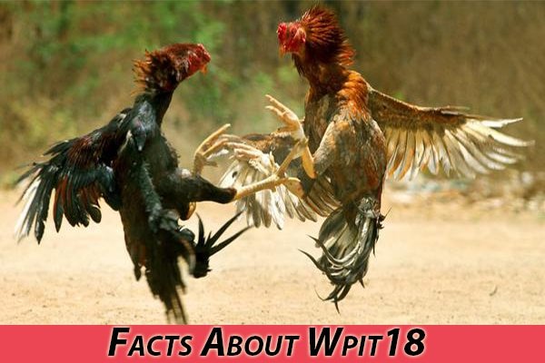 Facts About Wpit18