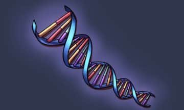 DNA- Everything that you need to know - Buxvertise