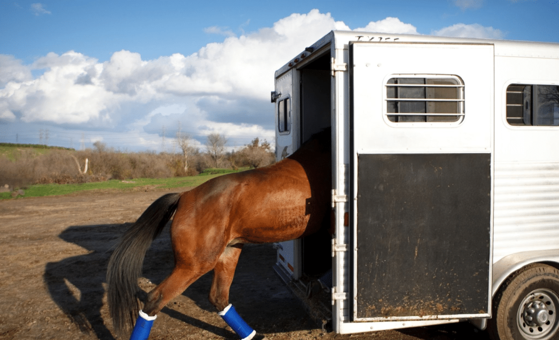 horse trailers