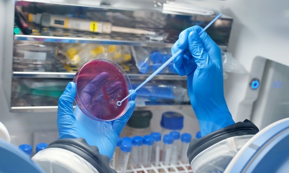 Medical Manufacturing